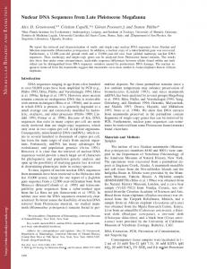 Nuclear DNA Sequences from Late Pleistocene Megafauna