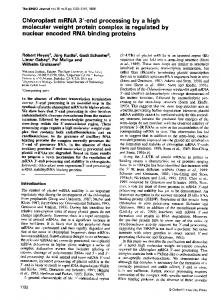 nuclear encoded RNA binding proteins