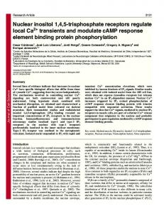 Nuclear inositol 1,4,5-trisphosphate receptors regulate local Ca ...