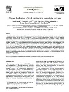 Nuclear localization of tetrahydrobiopterin biosynthetic ... - BIOPKU