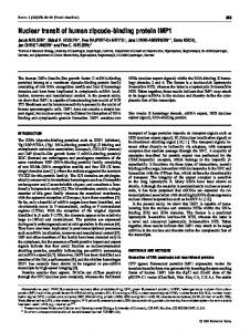 Nuclear transit of human zipcode-binding protein ... - Semantic Scholar