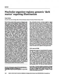 Nucleolar organizer regions - Genes & Development