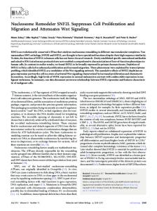 Nucleosome Remodeler SNF2L Suppresses Cell Proliferation and ...