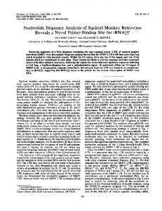 Nucleotide Sequence Analysis of Squirrel ... - Journal of Virology