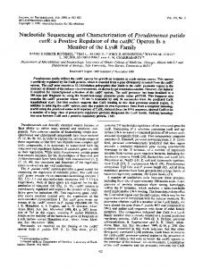 Nucleotide Sequencing and Characterization of Pseudomonas putida