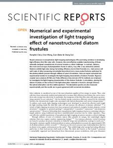 Numerical and experimental investigation of light