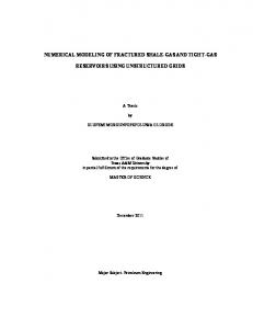 Numerical Modeling of Fractured Shale-Gas and Tight-Gas - OAKTrust