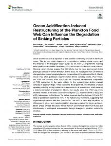 Ocean Acidification-Induced Restructuring of the Plankton Food ... - Core