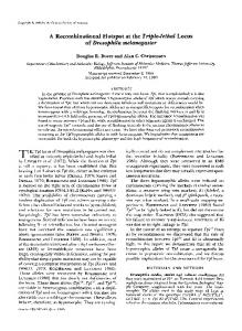 of Drosophila melanogaster - Genetics