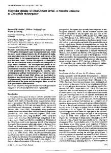 of Drosophila melanogaster - NCBI