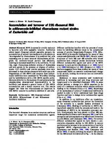 of Escherichia coli - Springer Link