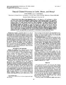 Omasal Ciliated Protozoa in Cattle, Bison, and Sheept - Applied and ...