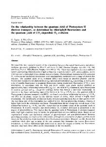 On the relationship between the quantum yield of Photosystem II ...