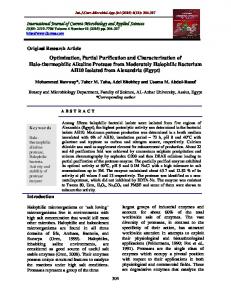 Optimization, Partial Purification and Characterization of Halo