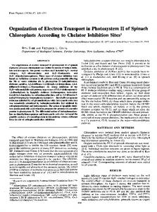 Organization of Electron Transport in Photosystem II of Spinach ... - NCBI