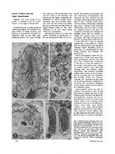 ORIGIN OF CYCADS 3.pdf