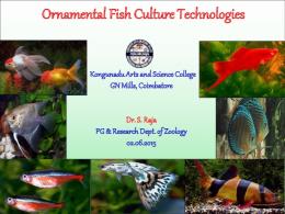 Ornamental Fish Culture Technologies