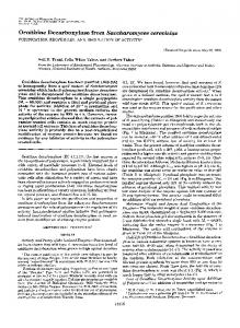 Ornithine Decarboxylase from Saccharomyces cerevisiae