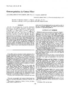 Osmoregulation in Cotton Fiber