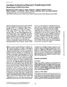 Osteoblasts Synthesize and Respond to