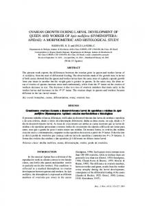 OVARIAN GROWTH DURING LARVAL DEVELOPMENT OF QUEEN ...