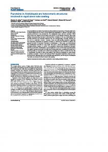 P-proteins in Arabidopsis are heteromeric structures involved in rapid ...