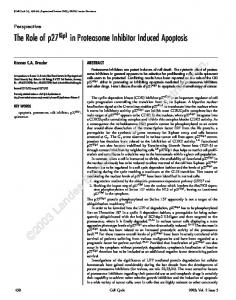 p27Kip1 in Proteasome Inhibitor-Induced Apoptosis