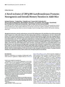 p300 Acetyltransferases Promotes