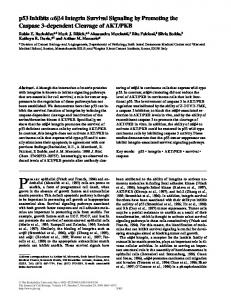 p53 Inhibits 6 4 Integrin Survival Signaling by Promoting ... - CiteSeerX