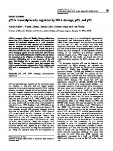 p73 is transcriptionally regulated by DNA damage, p53, and ... - Nature