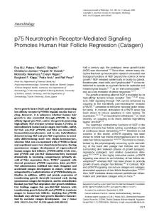 p75 Neurotrophin Receptor-Mediated Signaling Promotes Human ...