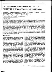 Page 1 TRANSPOSABLE ELEMENTS IN WHEAT AND TRITICALE ...