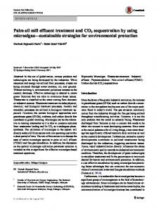 Palm oil mill effluent treatment and CO2 sequestration