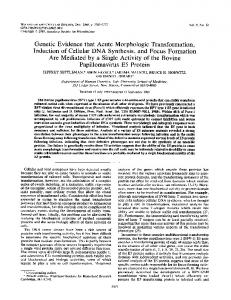 Papillomavirus E5 Protein - Europe PMC