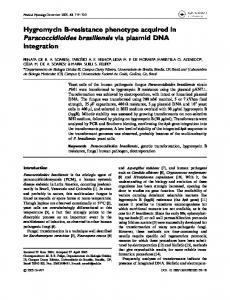 Paracoccidioides brasiliensis via plasmid DNA