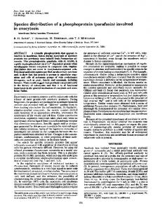 (parafusin) involved in exocytosis