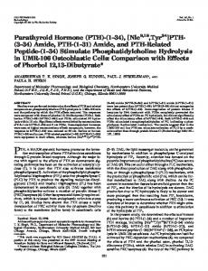 Parathyroid Hormone (PTH)