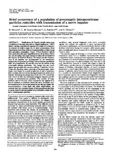 particles coincides with transmission of a nerve ... - Semantic Scholar