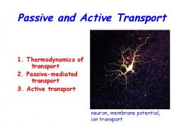 Passive and Active Transport