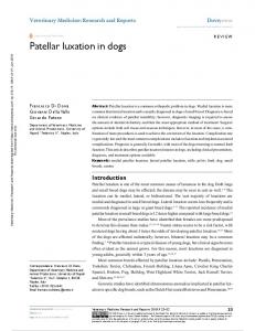 Patellar luxation in dogs