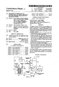 Patent Document US 05242554