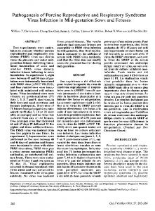 Pathogenesis of Porcine Reproductive and Respiratory ... - Europe PMC