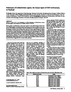 Pathotypes of Colletotrichum capsici, the Causal Agent ... - APS Journals