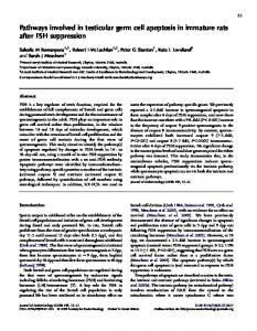 Pathways involved in testicular germ cell apoptosis in immature rats ...