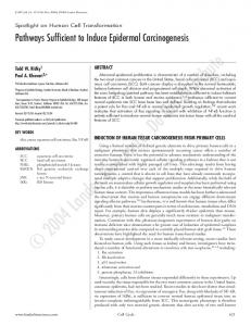 Pathways Sufficient to Induce Epidermal Carcinogenesis