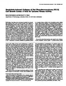 (PC12) Cell Growth Cones