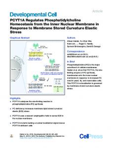 PCYT1A Regulates Phosphatidylcholine Homeostasis ... - Cell Press