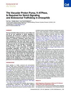 PDF (2 MB) - Cell Press