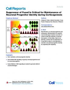 PDF (9 MB) - Cell Press