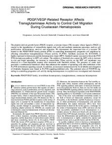 PDGF/VEGF-Related Receptor Affects ...